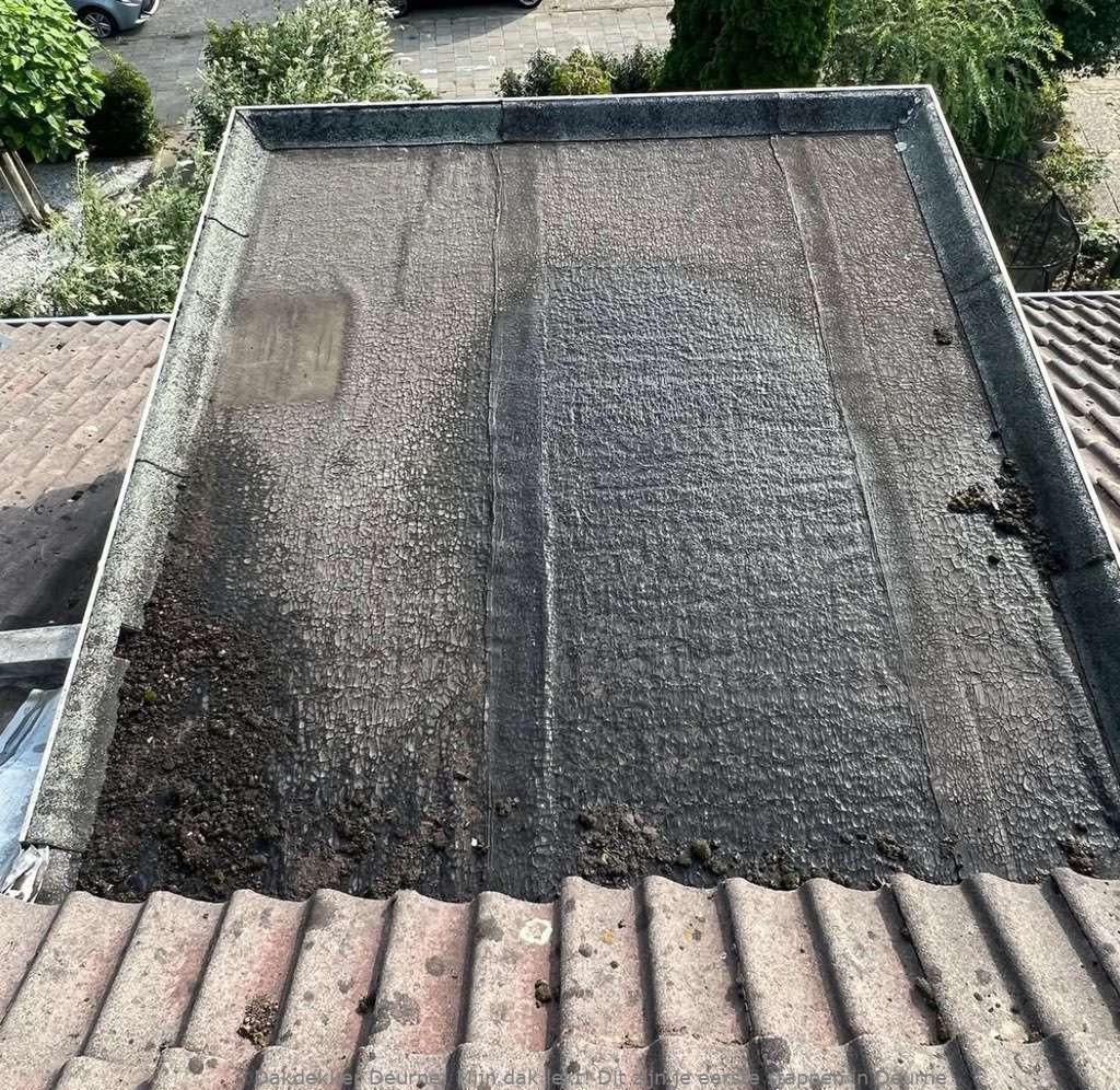 Dak Lekt Deurne