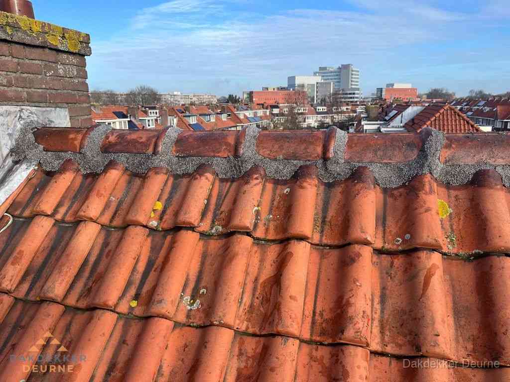 Nieuw bitumen plat dak met uitzicht over woonwijk in Deurne