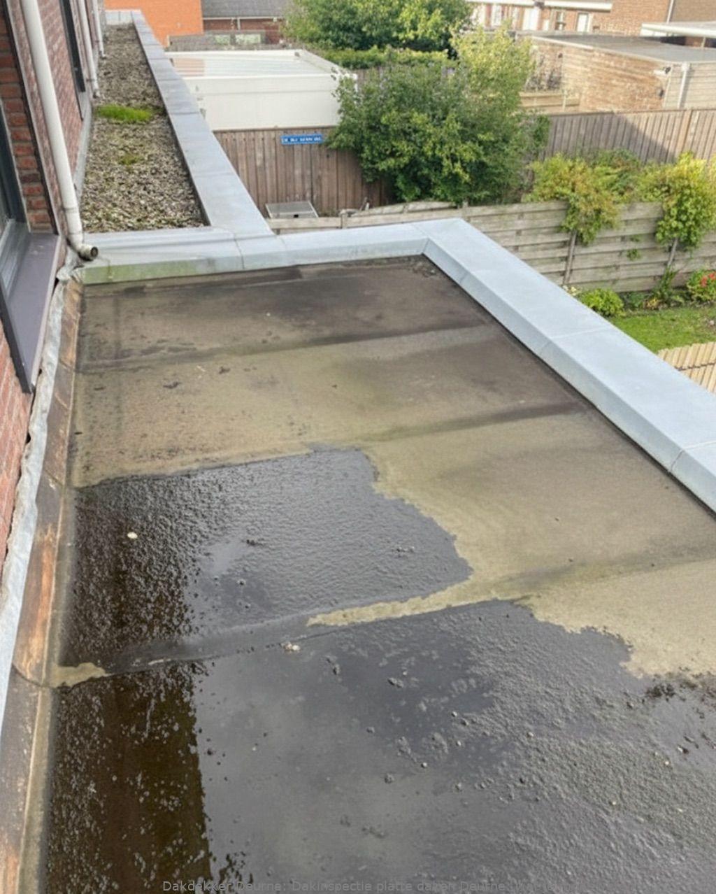 Dakinspectie platte daken Deurne: wat je moet weten