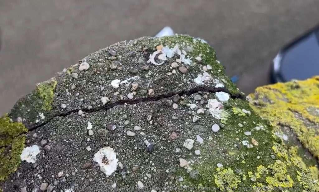 Oorzaken van daklekkages Deurne: de 5 grootste boosdoeners