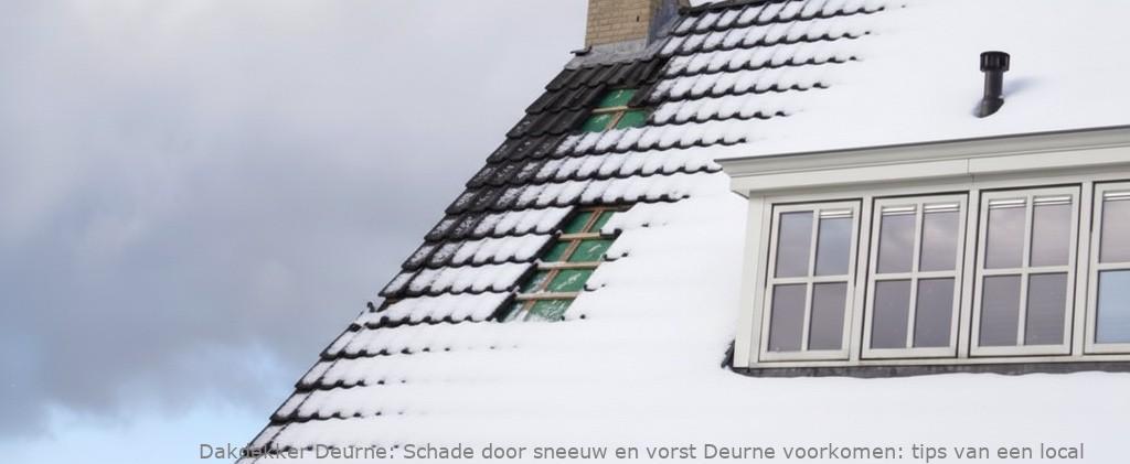 Schade Door Sneeuw En Vorst Deurne